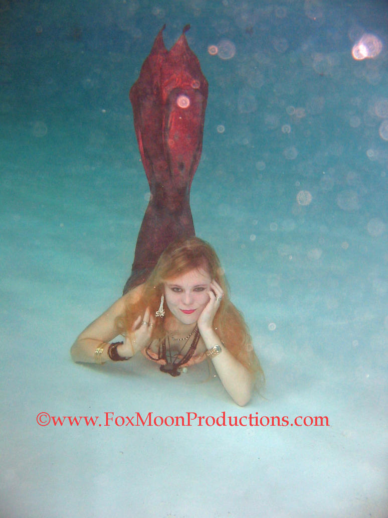 mermaid, ariel mermaid, real mermaid pictures,real mermaid picture, mermaid images, mermaids, are mermaids real, real mermaid image, mermaid photo, mermaid gallery-53