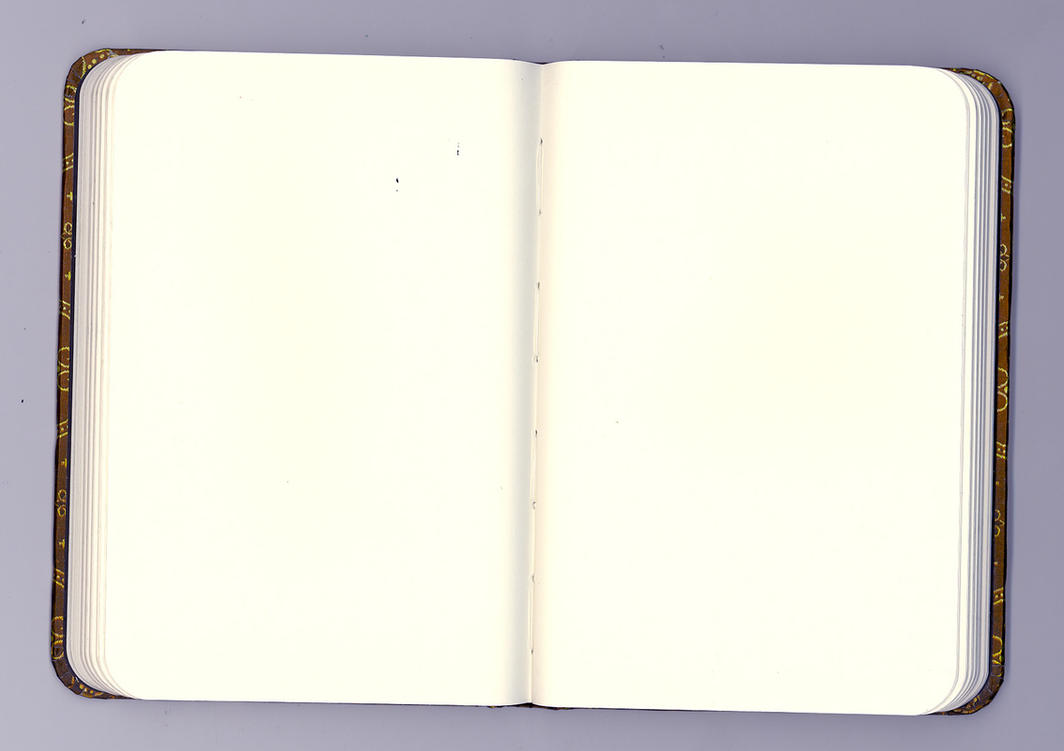 Blank Journal 1 by guggenheim