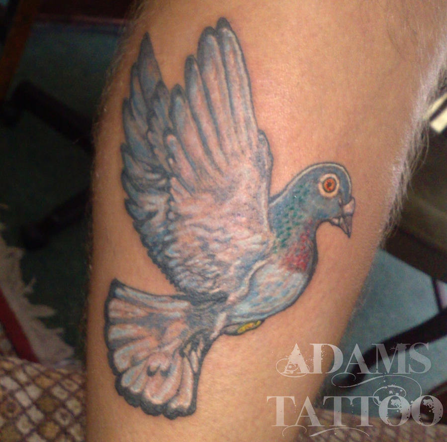 Pigeon tattoo by 2adams