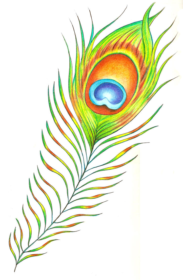 Peacock Feather by ChaoticatCreations on DeviantArt