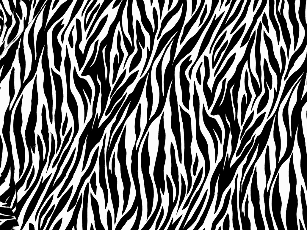 free clip art zebra print - photo #39