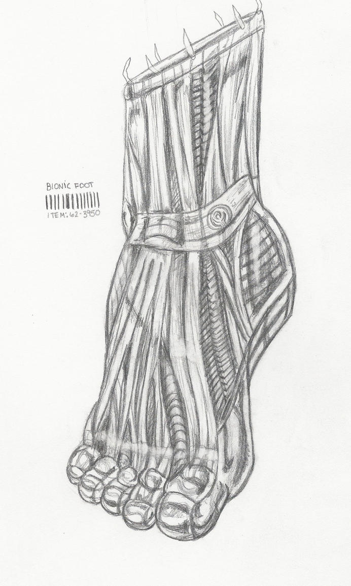 Artiforg Bionic Right Foot by Ronron84 on deviantART