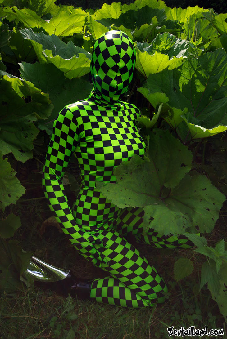 http://th09.deviantart.net/fs70/PRE/f/2010/179/e/8/Camouflage_by_ZentaiLand.jpg
