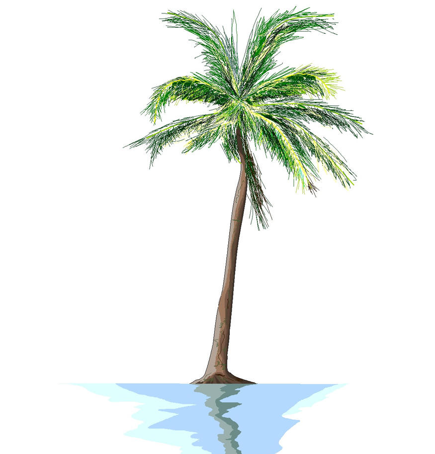 palm tree by Ant787 on DeviantArt