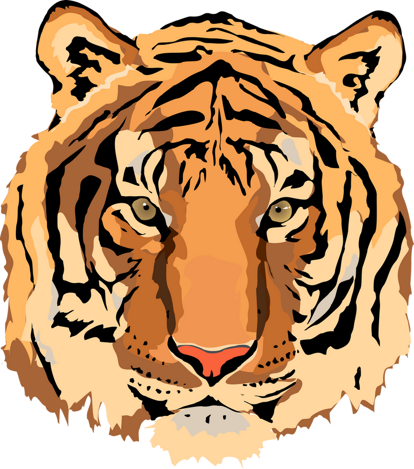 free tiger head clip art - photo #37