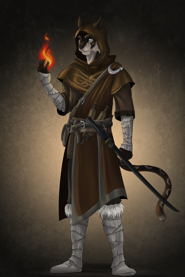 __the_mage___by_thousandleaves-d5so483.png