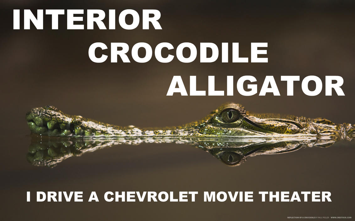 interior_crocodile_alligator_by_youoweadam-d32awea.jpg