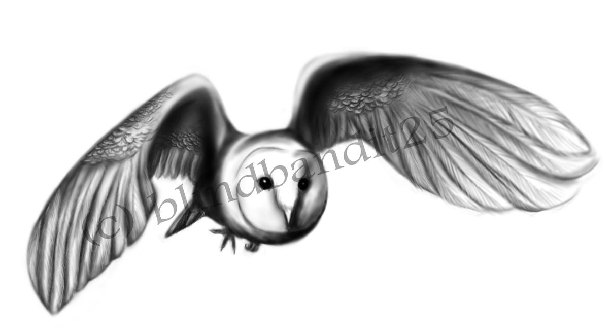Barn Owl Tattoo Request by