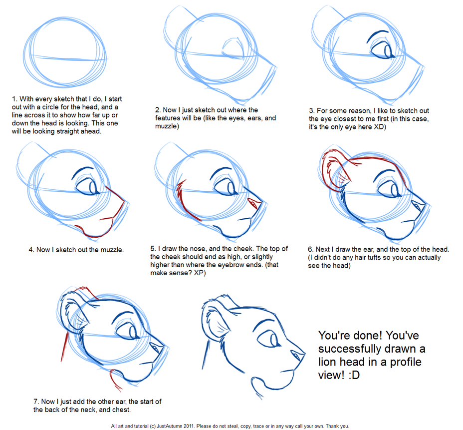 how_to_draw__feline_profile_tutorial_by_justautumn-d4jb65o