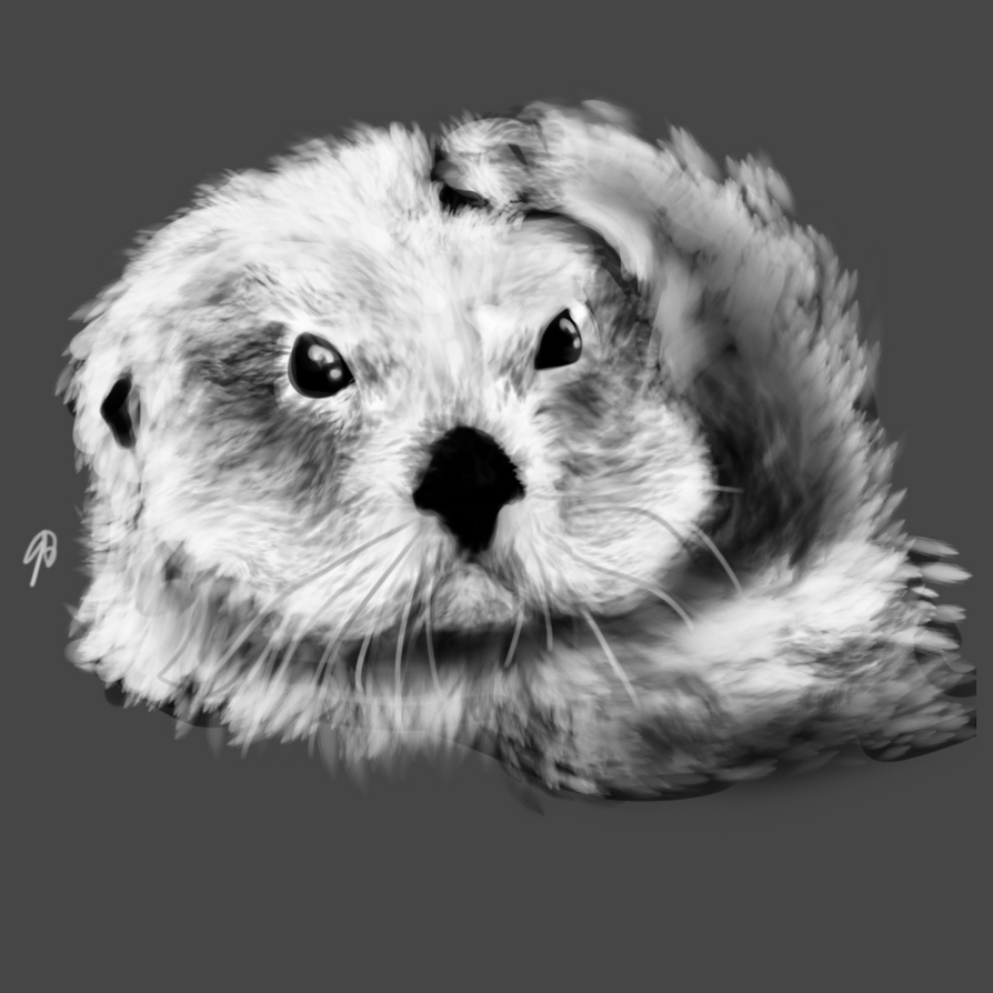 animal_study_01__sea_otter_by_darkmag07-d80gcuc.png