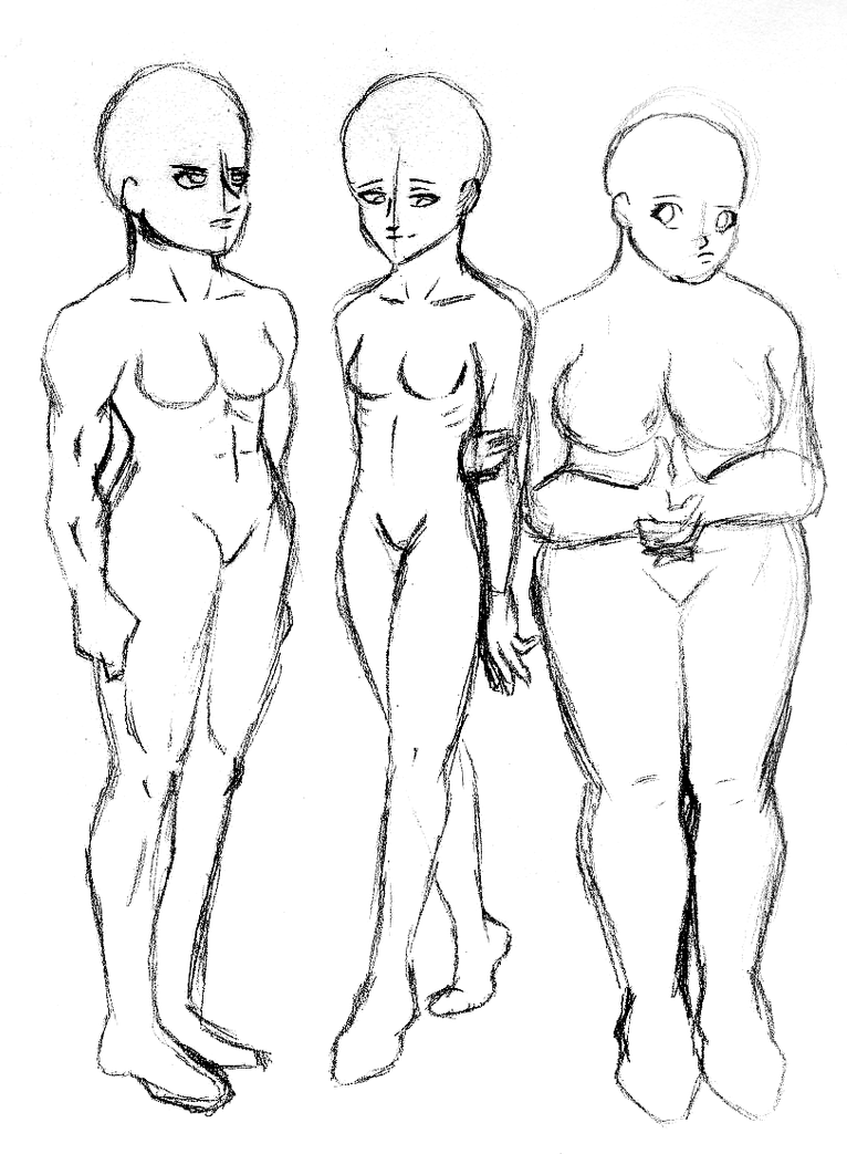 body_types_pt_3_by_taylorboykin-d826ed5.png