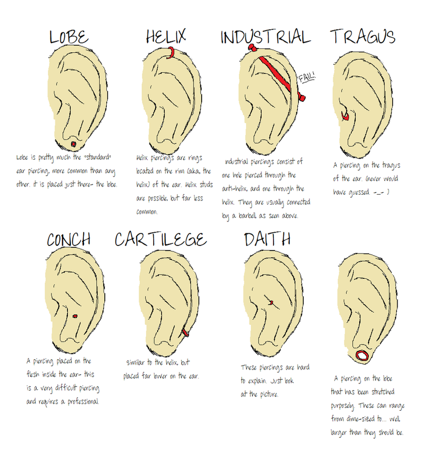Ear Piercing Types by