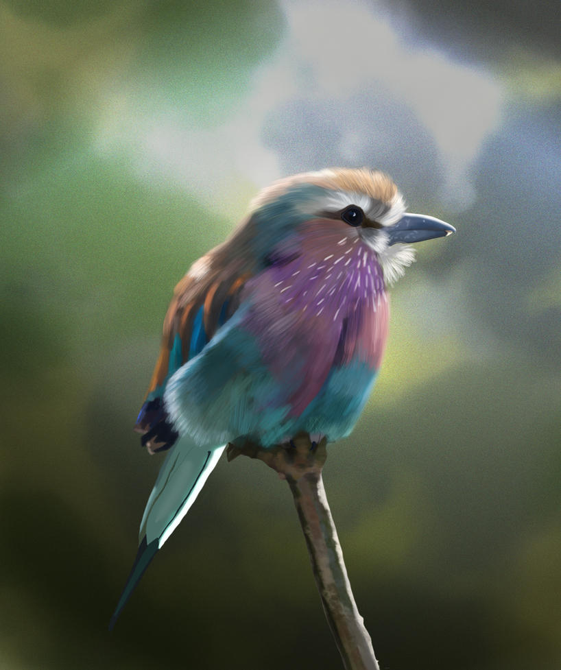 [Image: gee_s_lilac_breasted_roller_by_missimoin...6iou87.jpg]
