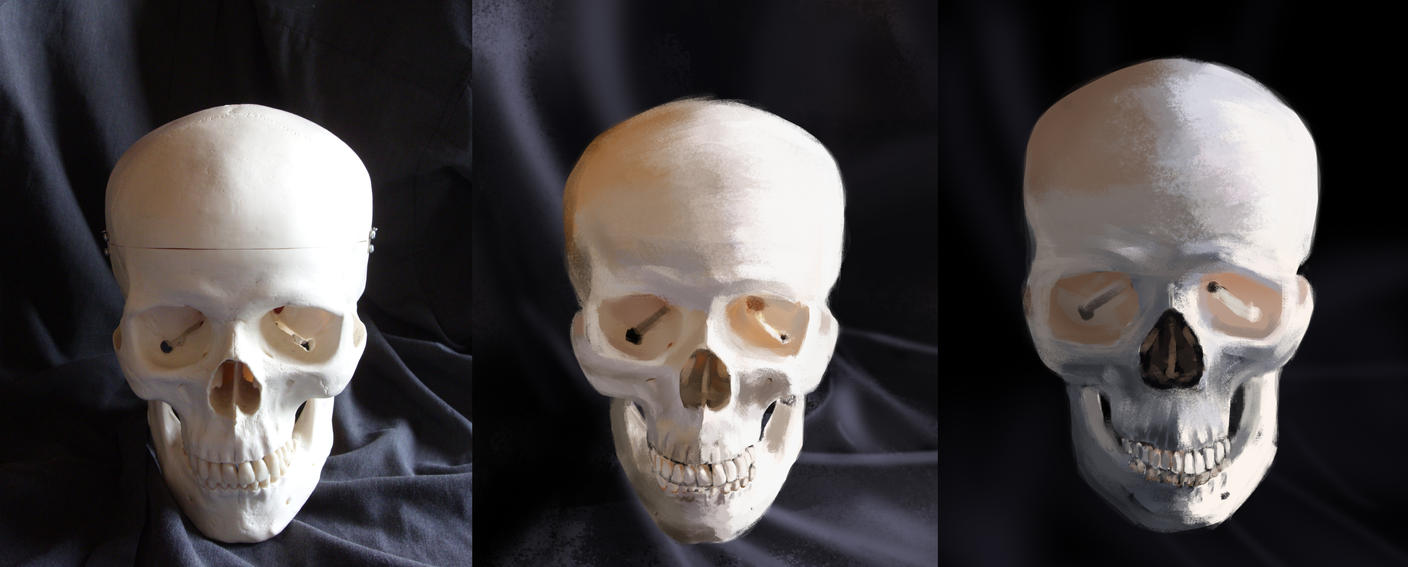 [Image: skull9_by_wolkenfels-d7gd5xh.jpg]