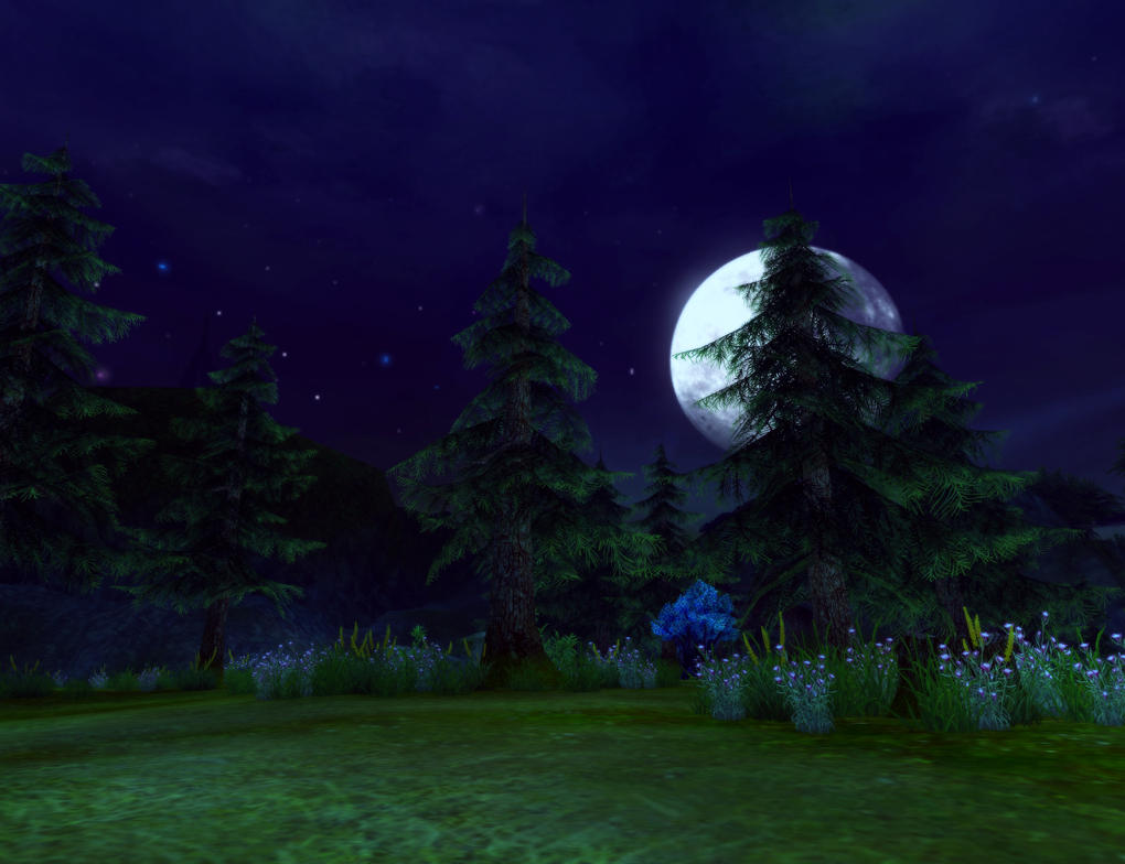 forest_moonlight_by_babayagaga-d8aqwh8.jpg