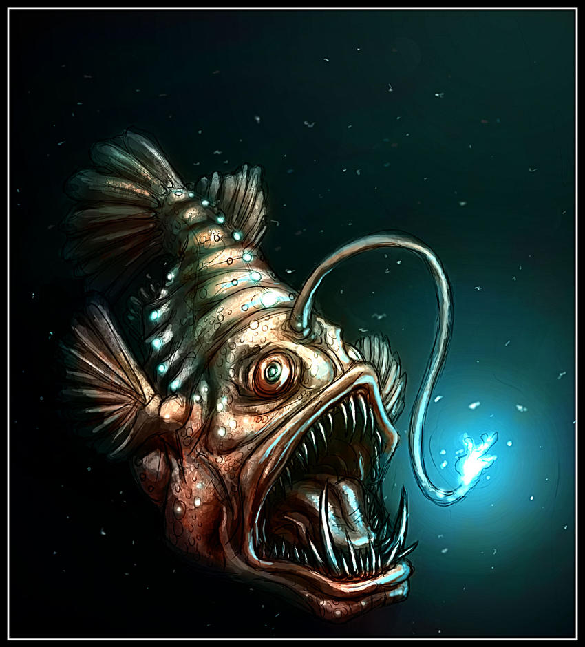 angler fish by kiartia d32nwu4